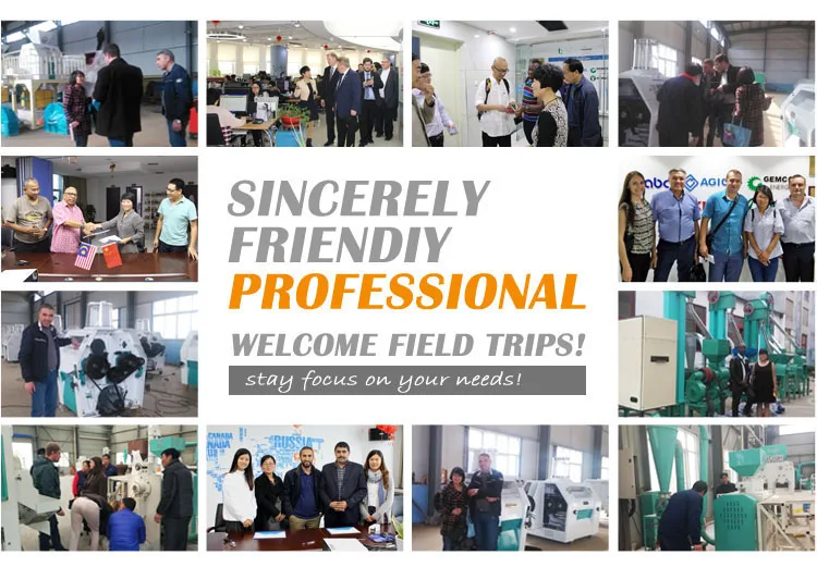 500kg per day small maize flour milling machine