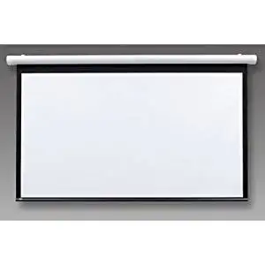 Salara/Series M Contrast Radiant Electric Projection Screen Size: 60" x 60"