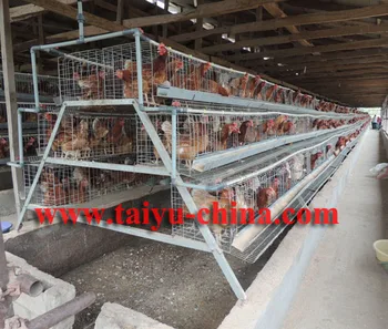 Taiyu Battery Chicken Layer Cage Sale For Pakistan Farm Buy Battery Chicken Layer Cage Sale For Pakistan Farmbattery Cages For Laying Hens