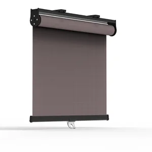 spring roller blinds
