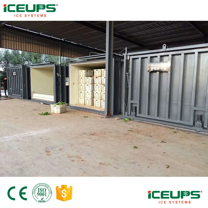 CE approved 1-24 pallets vegetable fruits vacuum cooler machine