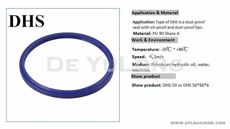 N O K Hydraulic Cylinder Seals Dhs Lpi Lbi Dli Dust Seal Wiper Seal Sns-Brigh10