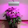 Celling Mount Wall packed Suspended type ETL 50W 100W 150W 200W 250W 300W LED Plant Grow light