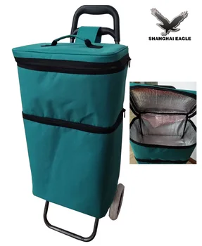 foldable food delivery bag