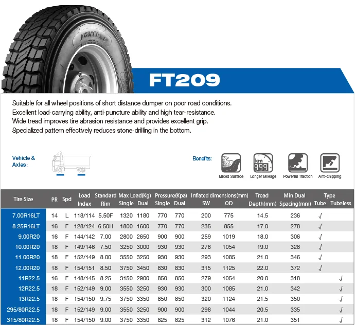 Fortune Tire Ft209 13r22.5 Chengshan Tire Cst209 13r22.5 Austone - Buy 