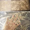 Fashion golden rose evening dress for open French wedding hood bride sequined champagne discount silver lace fabric