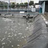 Super Quality Competitive Price HDPE Geomembrane Fish Farm Pond Liner