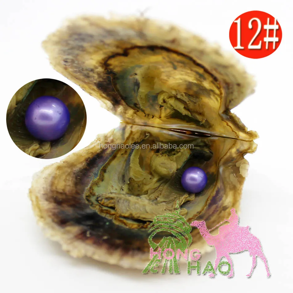 

Wholesale Vacuum Packaging AAAA Grade 6-7mm12# Color Pearl One in Akoya Salt Oyster (Free Shipping by DHL, N/a