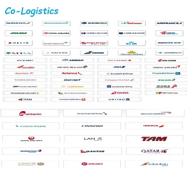 
Air cargo and door to door delivery from China to AUCKLAND 