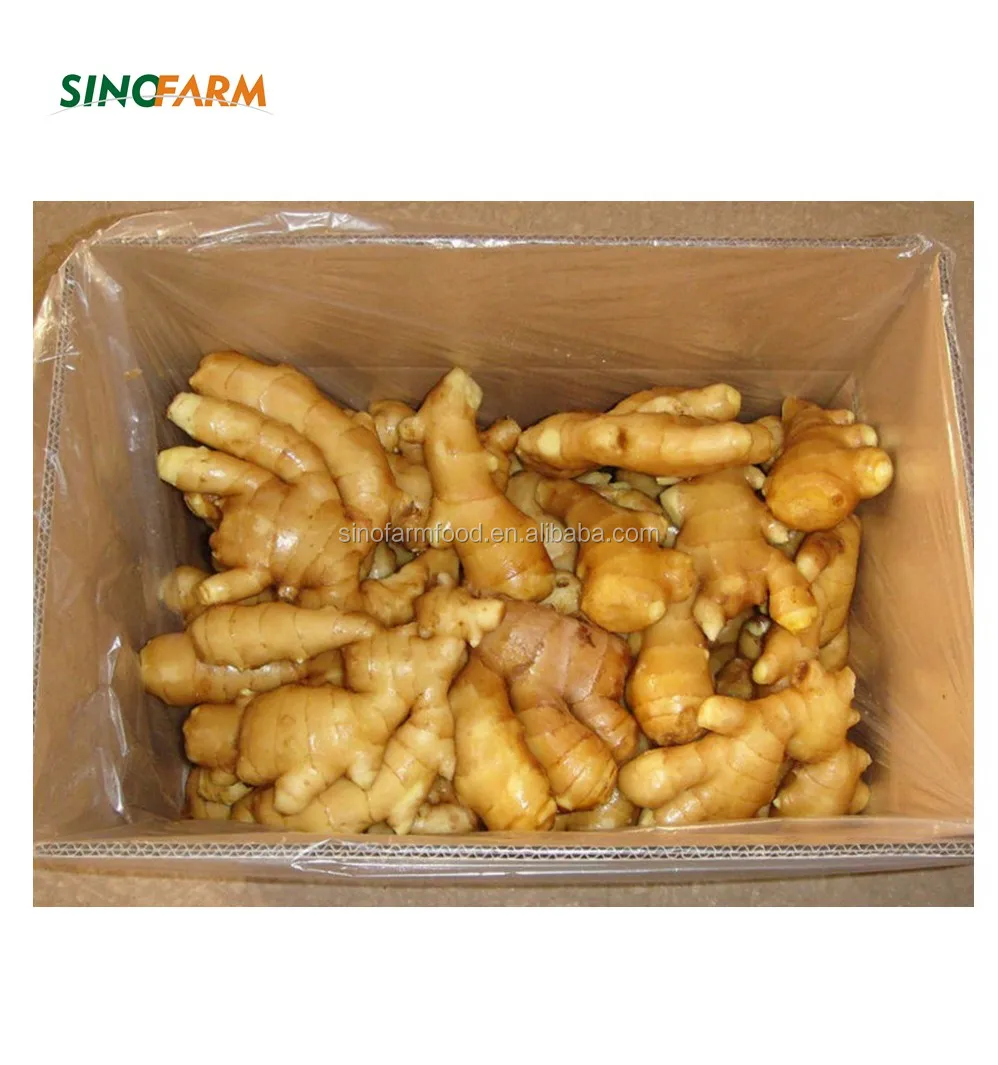 
2018 New Crop Fresh ginger whole prices exporting to overseas 