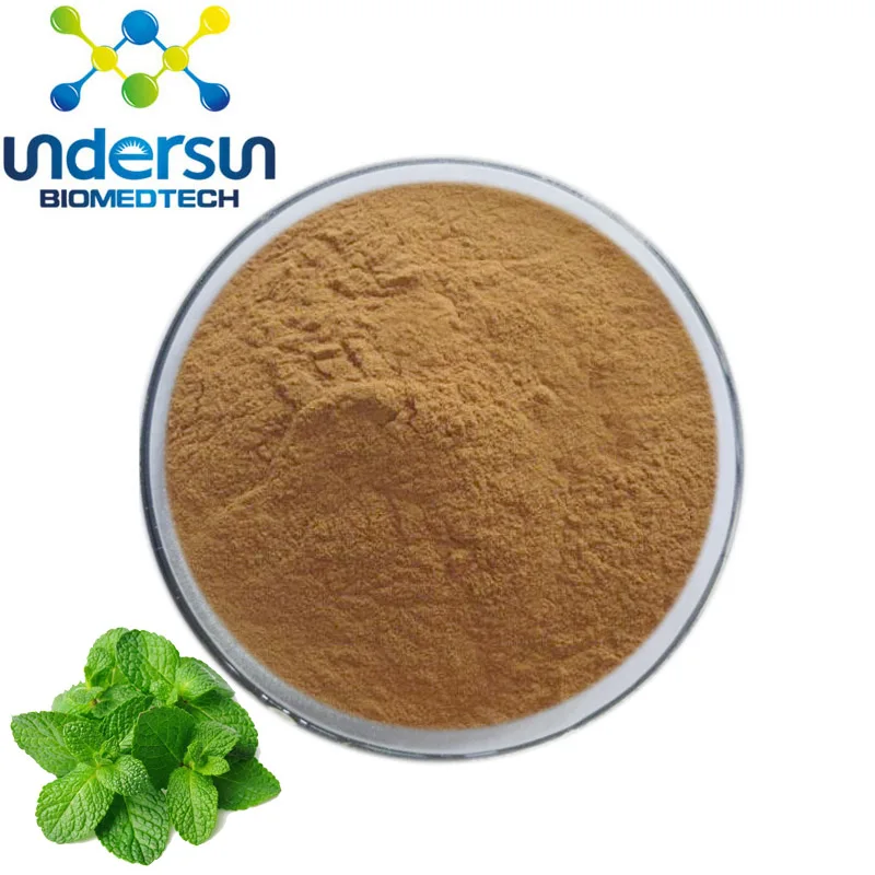 100% Pure White Mint Powder - Buy White Mint Powder,Mint Extract,Mint ...