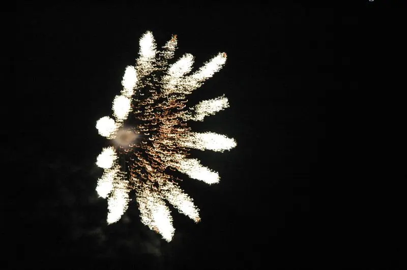 shell 19
