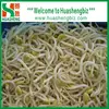 supplying frozen/IQF yellow bean sprouts