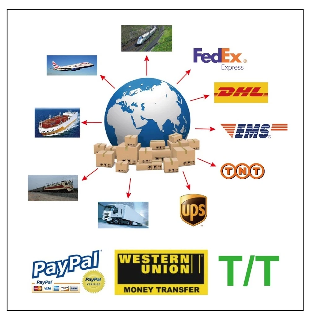 delivery DHL UPS.webp