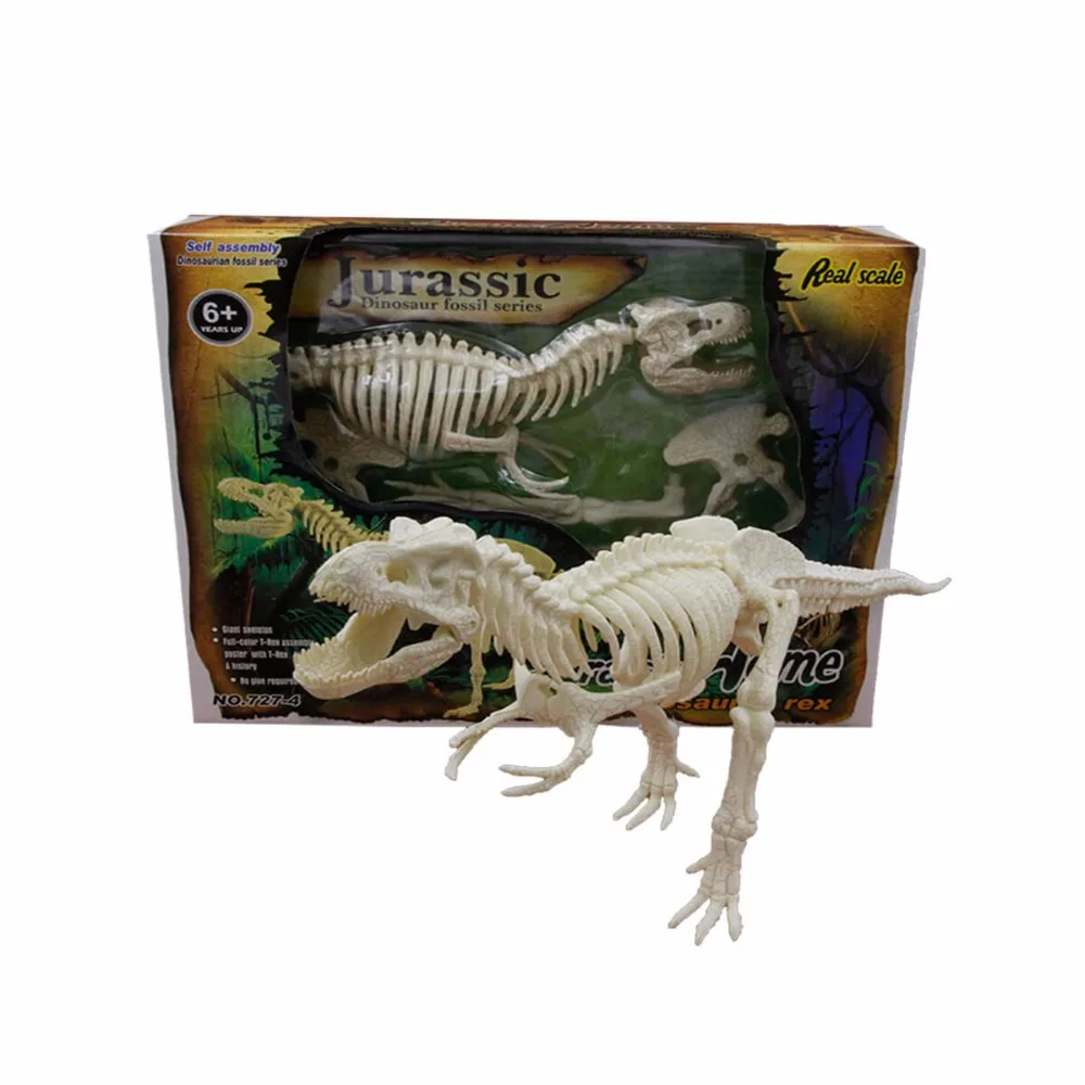 

Hot Sale Educational Toys Plastic Dinosaur Fossil T Rex for Kids