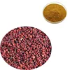 China manufacturer organic schisandra extract/schisandra berries powder
