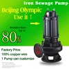 dry pit sewage pumps dry well sump pump for flood stormwater pit pump