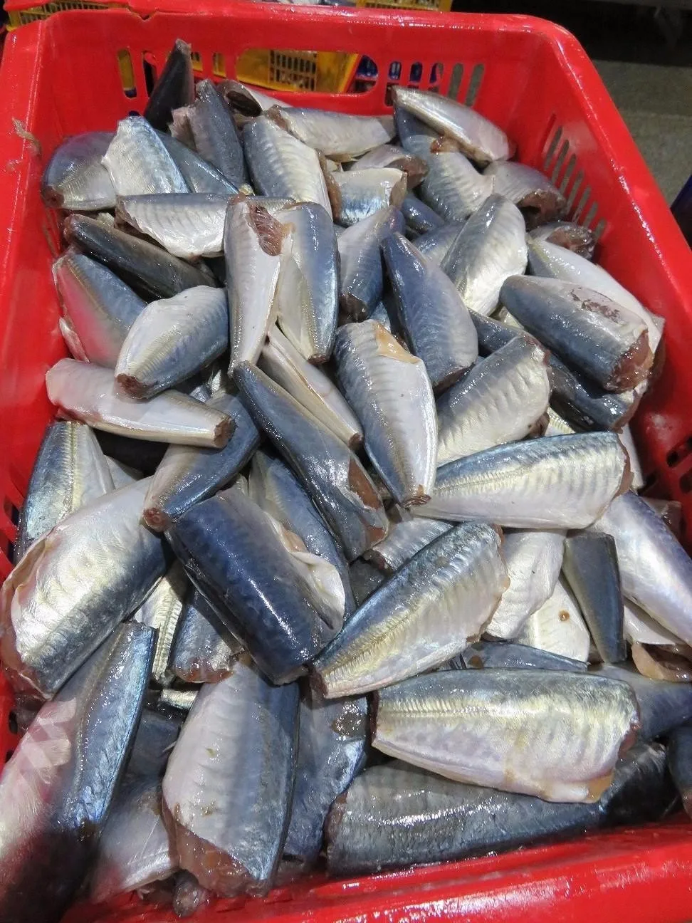 Canned Sardine In Vegetable Oil 125g Buy Canned Sardine,Sardine In