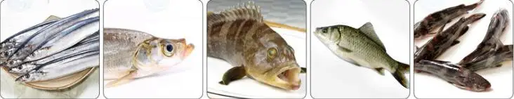 fish cleaning machine 19.jpg