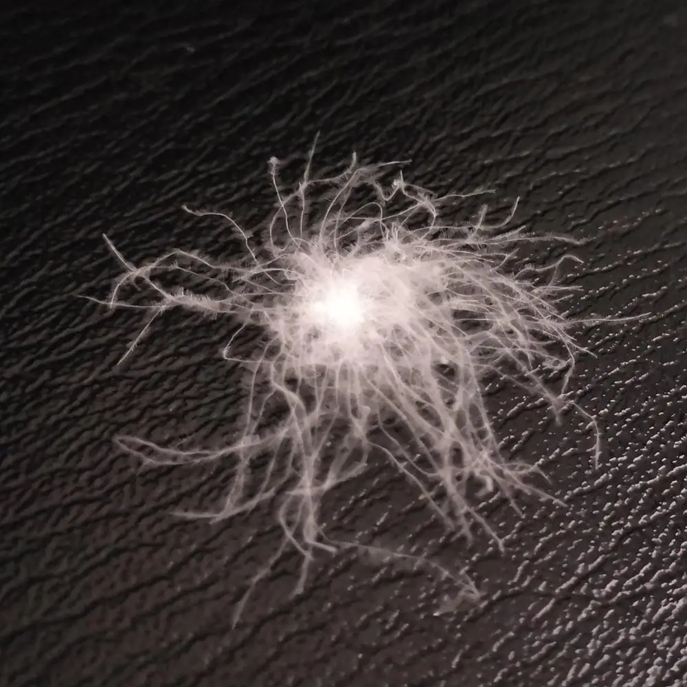 
Washed White Duck Down 70% 