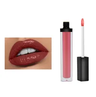 

Wholesale OEM Low MOQ Custom Logo Lipgloss Make Your Own Private Label Liquid Matte Lip Gloss