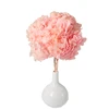 High Quality Big Single Stem Preserved Hydrangea Flowers Natural Hydrangeas for Home Wedding Decoration