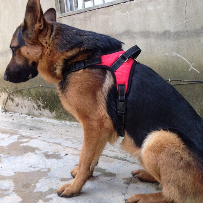 

Service Training Reflective Dog Harness, Various