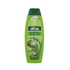 200ml children shampoo own brand name anti dandruff portable hair growth olive natural shampoo
