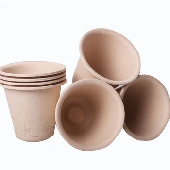 compostable paper cups