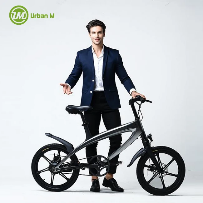 

2017 New 36V Pedal Assist Electric Fat Bike, N/a