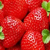 green healthy fruit frozen strawberry from our own factory