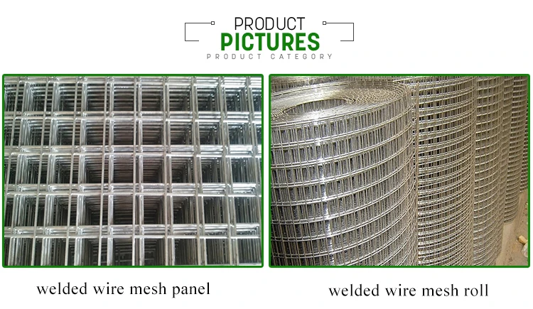 SS 201 304 316 316L 0.1mm-1.5mm stainless steel welded steel wire mesh