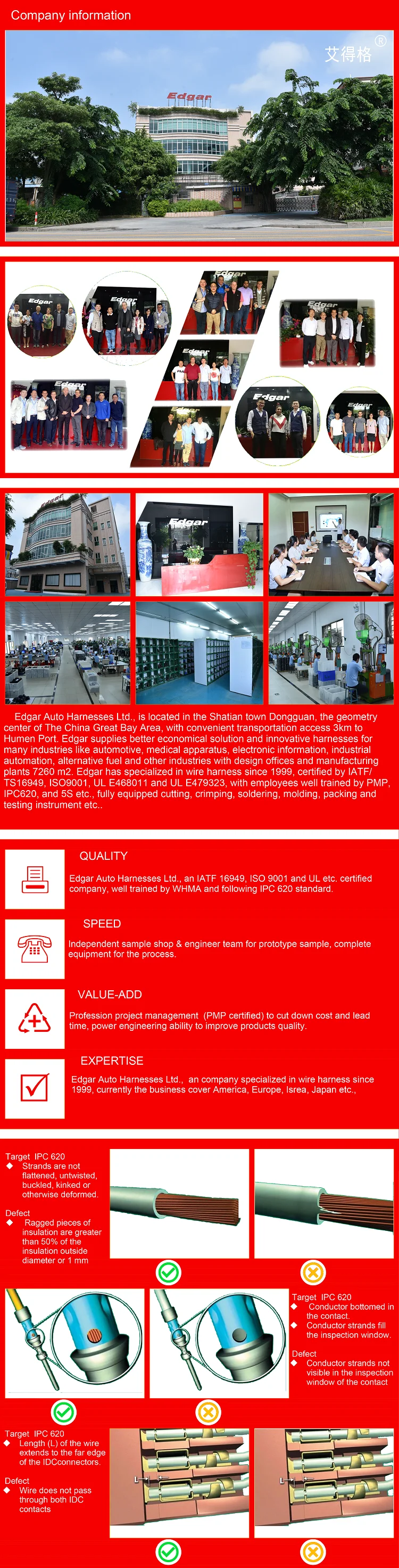Customized Over Molding ISO9001 Certified Wiring Harness for Control Box Applications
