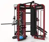 Commercial gym machine multi-functional Synergy 360 LDM-10