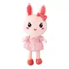 Cute expression wearing a skirt tied with a bow of a stuffed rabbit toy A lovely gift full of girlish heart