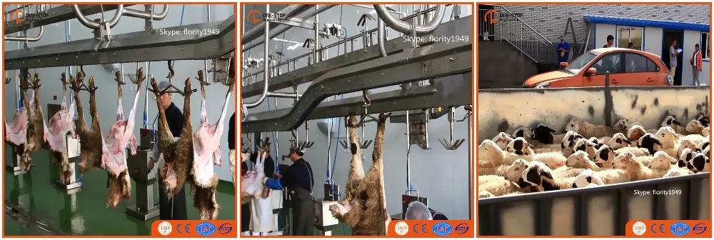 New lamb slaughtering equipment sheep slaughterhouse line sheep slaughtering machine