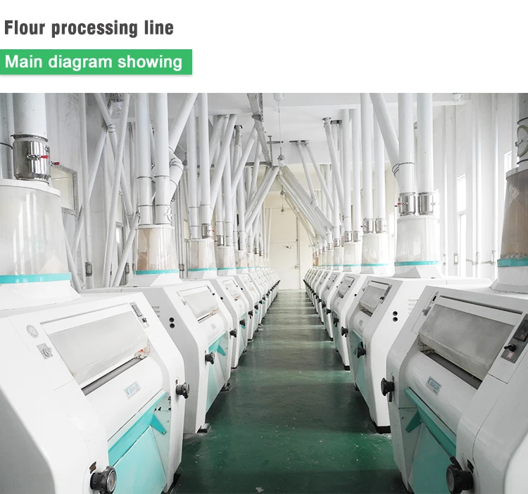 China Good plantain powder processing line cocoa