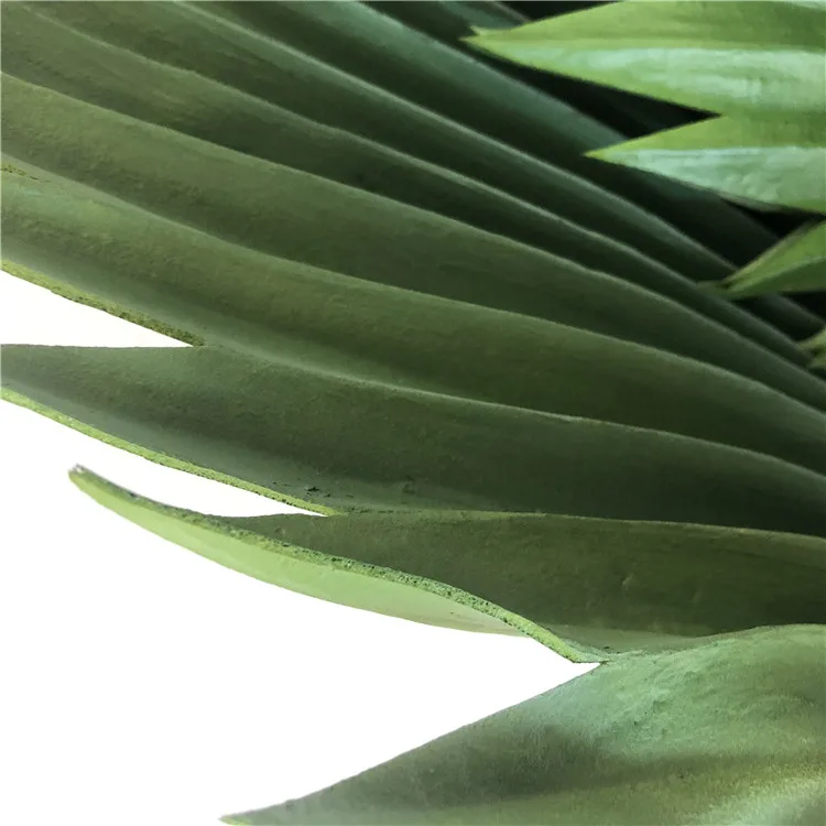 palm tree leaves (21).jpg