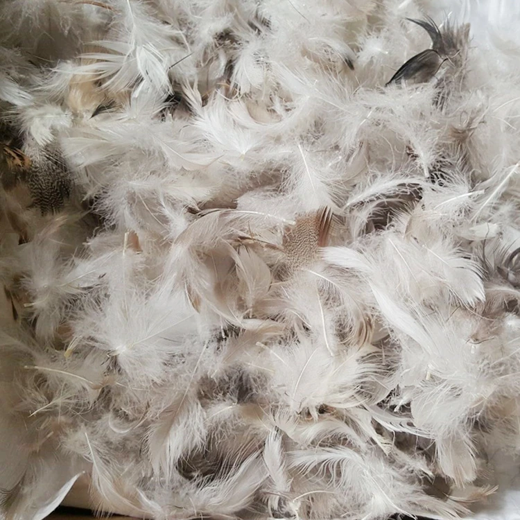 feather stuffing