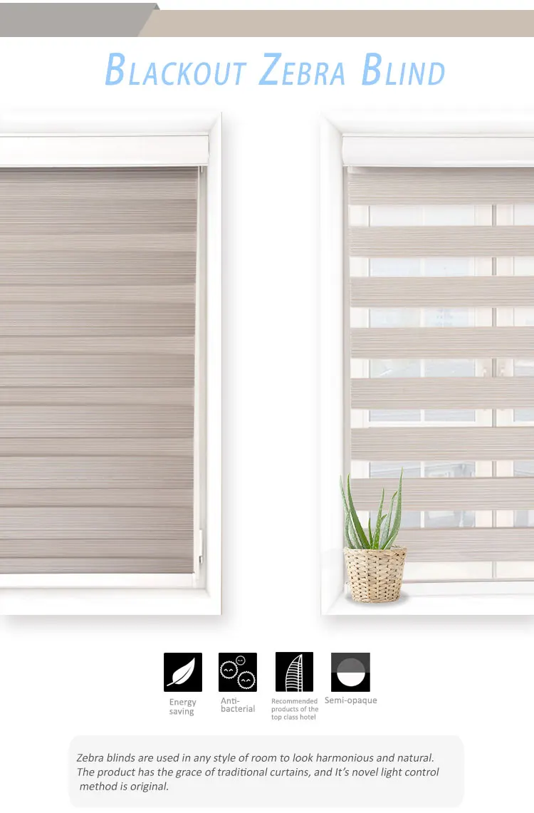 motorized window blinds
