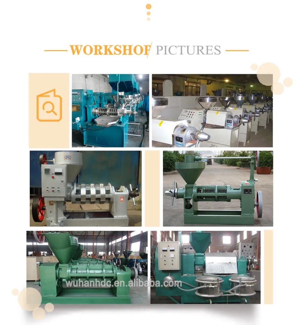 Factory Direct Sacha Inchi/shea Butter Processing Machine/palm Kernel