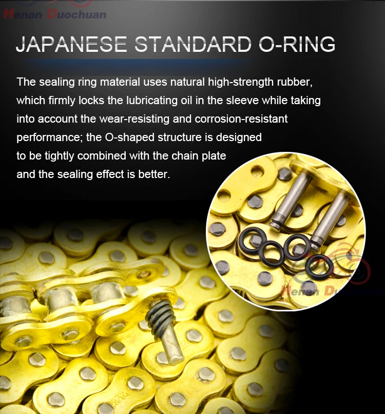 motorcycle chain (10)
