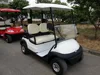 Suitable Price Chinese High quality 2 Seater electric golf cart