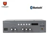 CT928U 30W mini equalizer amplifier USB/SD/Bluetooth mini audio amplifier