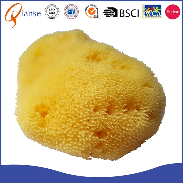 natural sea bath sponge