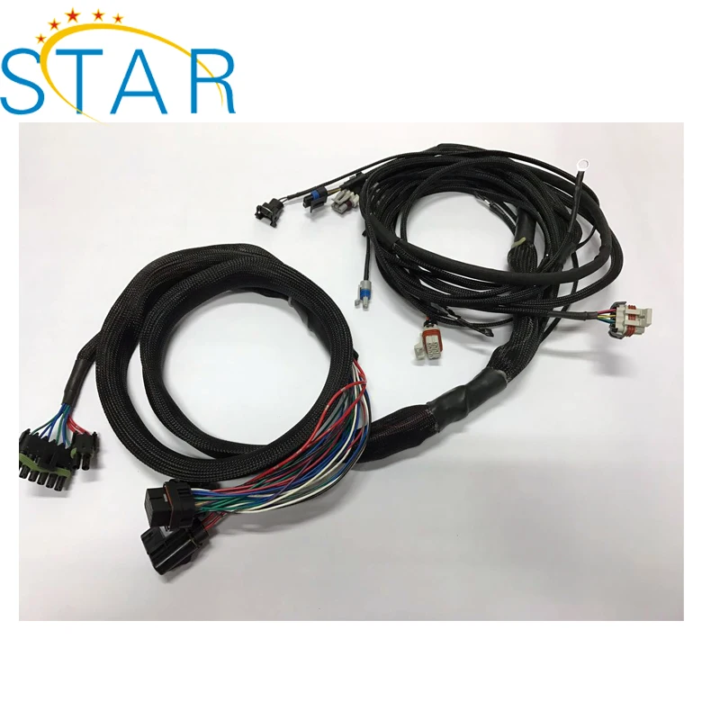 Custom Auto Engine Wire Harness Ecu Wiring Cable Harness Assembly Buy