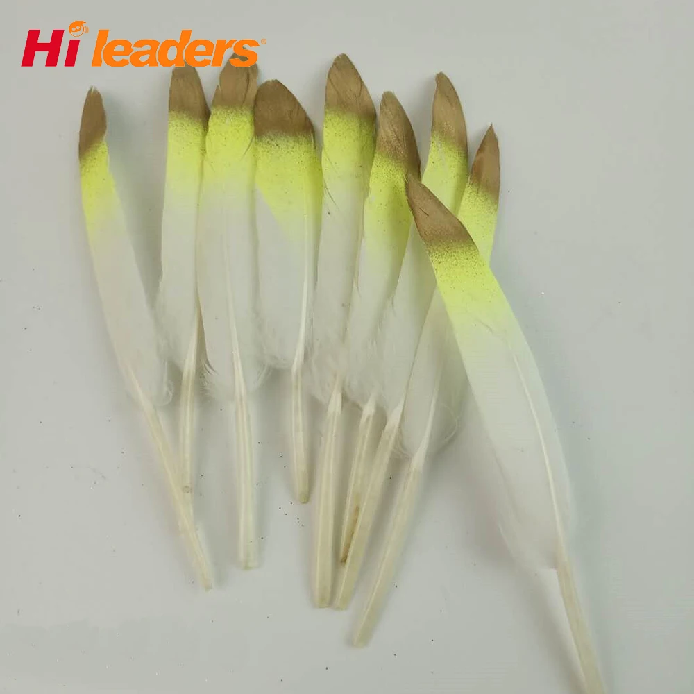 Rt251 Decorative Printing Goose Feathers For Sale Buy Printing Goose
