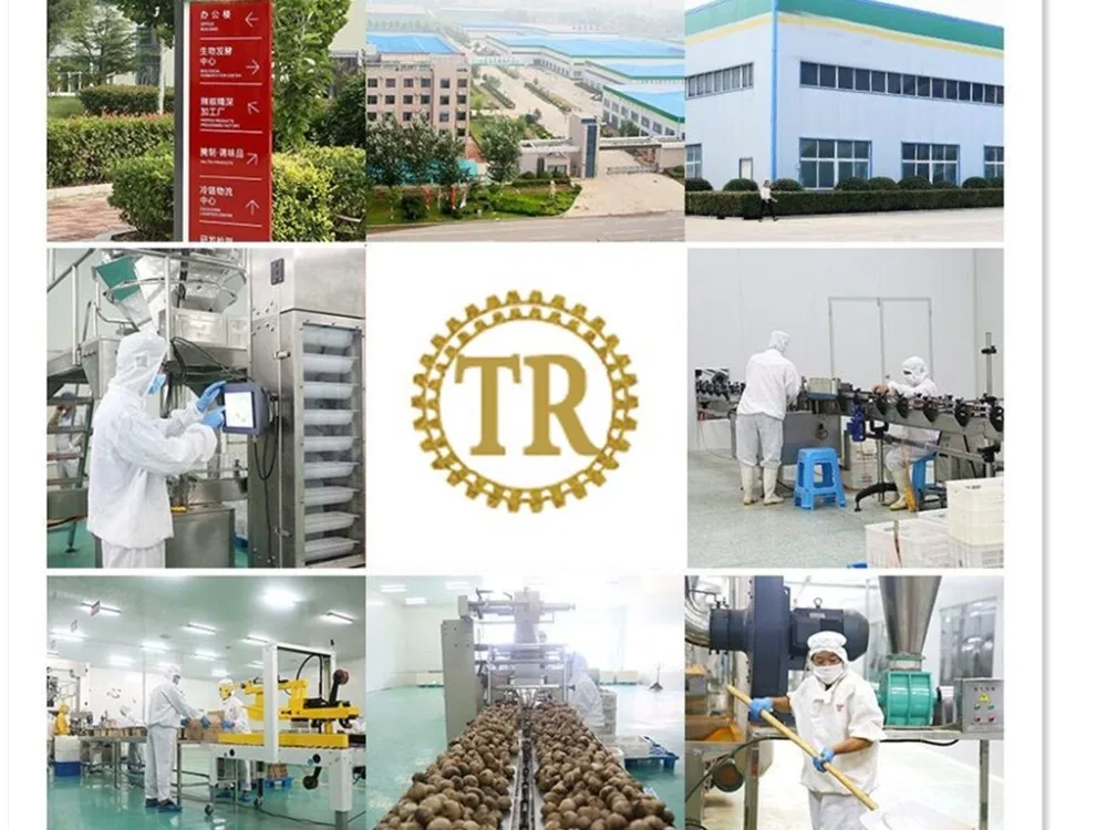 black garlic machine (21).jpg