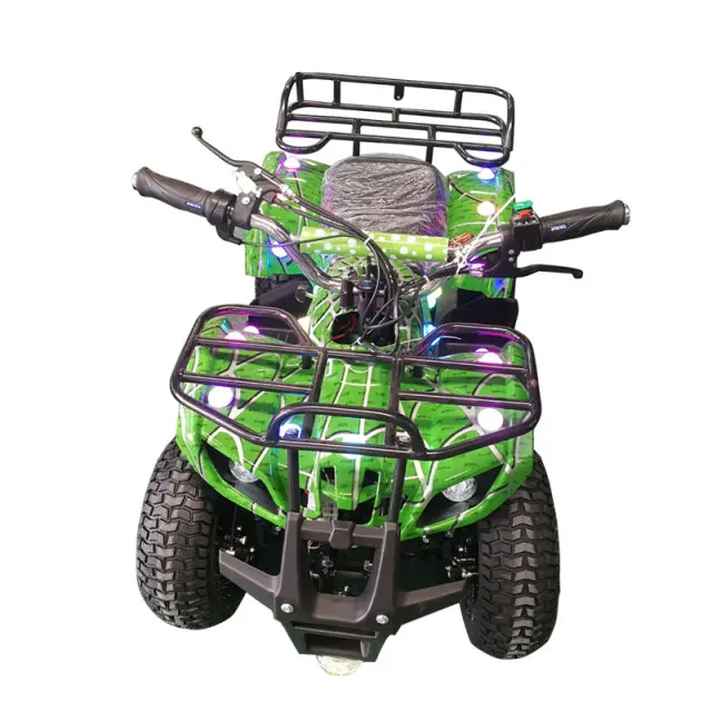 Professional Manufacturer 2 Seater 4 Wheel Electric Car Electric Dune Buggy For Sale Buy 2