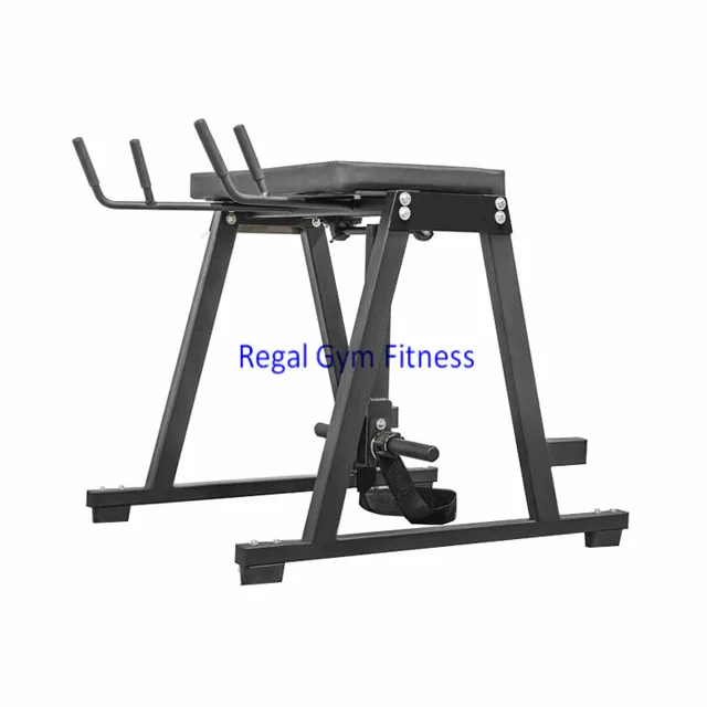 regal gym fitness02.jpg